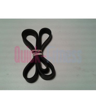 Correa Alternador Bici Estatica Nautilus U916