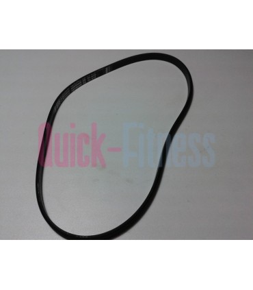 Correa bici estatica Proform SX1