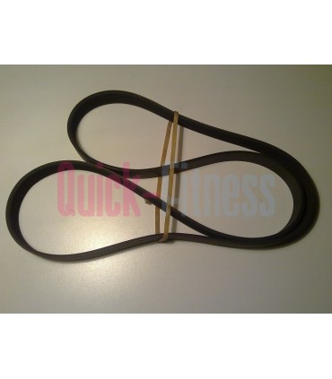 Correa elíptica Nautilus NE3000