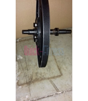 Eje + disco elíptica Body Charger GB9000