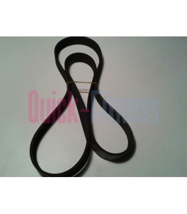 Correa elíptica Hi Power Advance 200