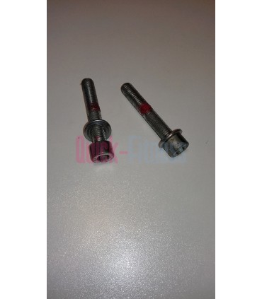 Tornillos de rodillos tensores de tapiz (2ª)