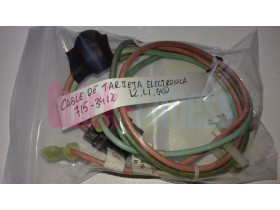 Cable tarjeta electrónica Startrac E-TR (2ª) Power cable,EMI to MCB