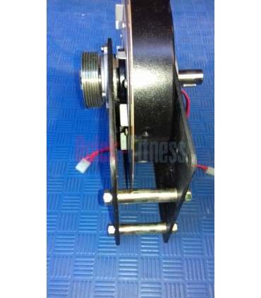 Unidad magnética bici Schwinn 235