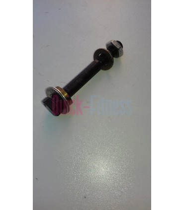 Eje disco de inercia Body Bike (2ª)