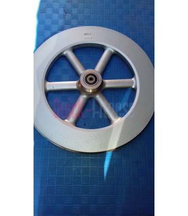 Disco de inercia bici spinning Body Bike (2ª)