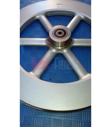 Disco de inercia bici spinning Body Bike (2ª)