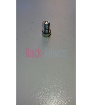 Tornillo de bielas Body Bike (2ª)