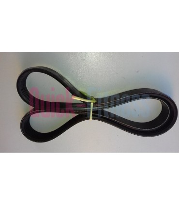 Correa bici Body Bike (2ª)