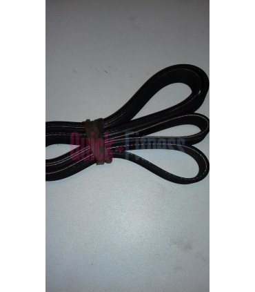 Correa elíptica Nordictrack E12.0 (NTEVEL812100)