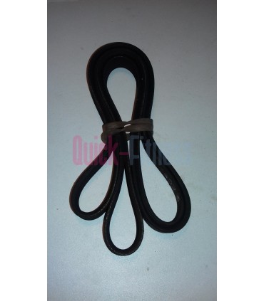 Correa elíptica Proform 295 CSE ( PFEVEL 02917.0 )