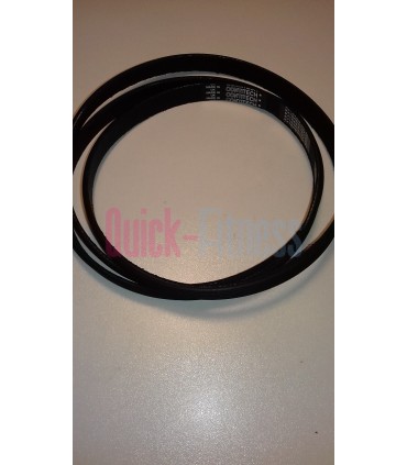 Correa elíptica Proform 225 CSE ( PFEVEL 029150  )