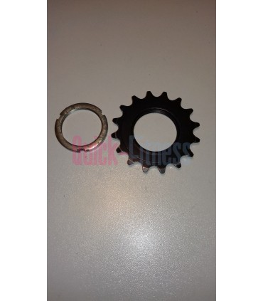 Piñón fijo bici Bodytone B511 (2ª)