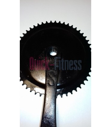 Plato biela Isis Schwinn Ic Pro / Ic Evolution (2ª)