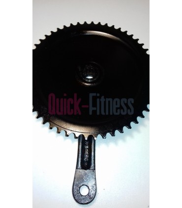 Plato biela Isis Schwinn Ic Pro / Ic Evolution (2ª)