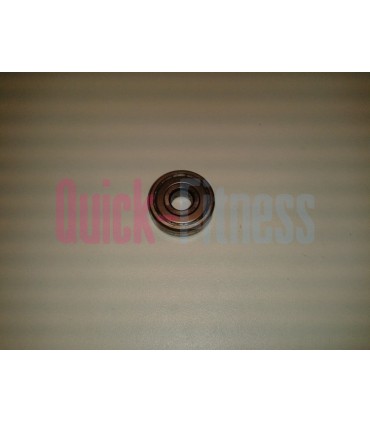 Rodamiento eje disco de inercia Bodytone B511