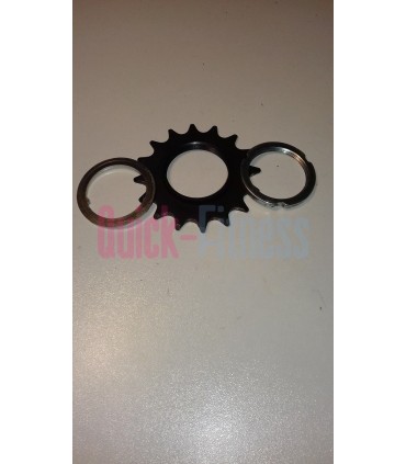 Piñón fijo Van Allen SP 18 (2ª)