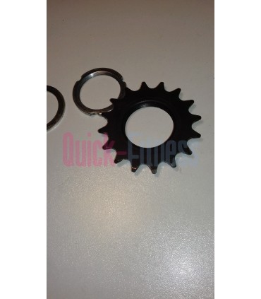 Piñón fijo Van Allen SP 18 (2ª)