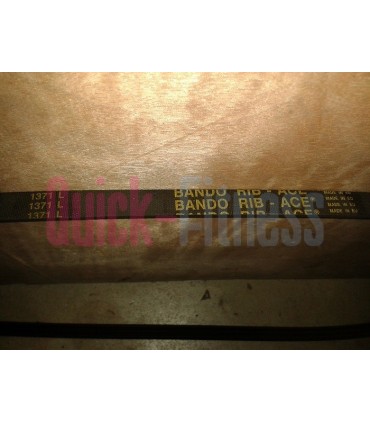 Correa bici spinning Falco Bike (2ª)