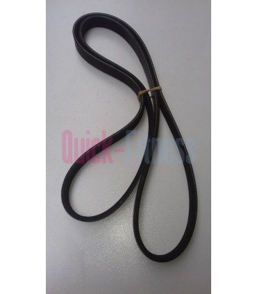 Correa bici spinning USA Fitness Machine (2ª)