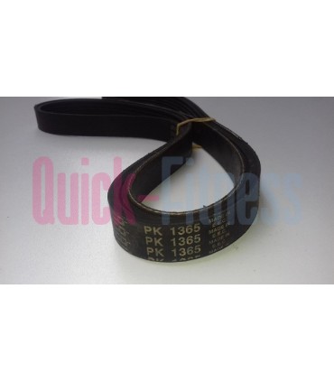 Correa bici spinning USA Fitness Machine (2ª)