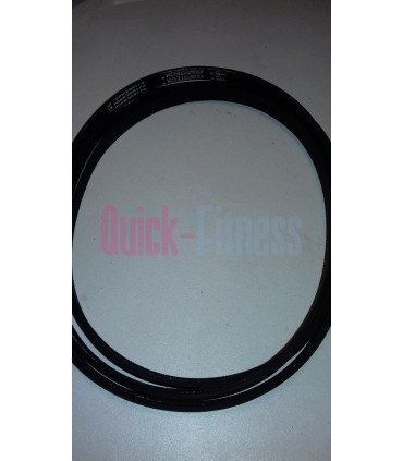 Correa elíptica Proform 480 SPACESAVER  PFEVEL750080