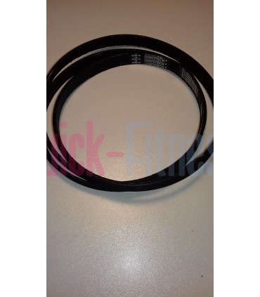 Correa elíptica Proform 585 EKG (PFEVEL48830 / PFEVEL4883.1)