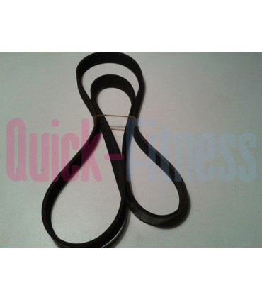 Correa primaria generador compatible para elíptica Livestrong LSE1x