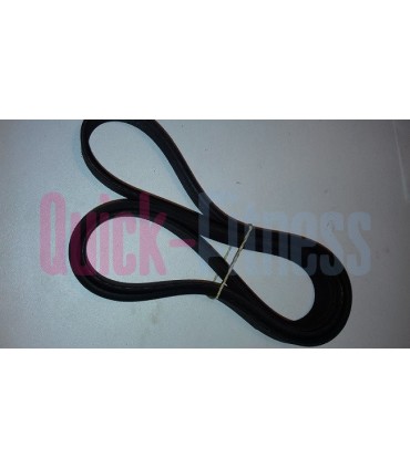 Correa para elíptica Livestrong LS9.9E