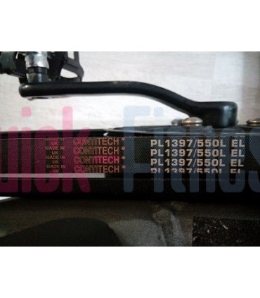 Correa para bici spinning Livestrong E Series