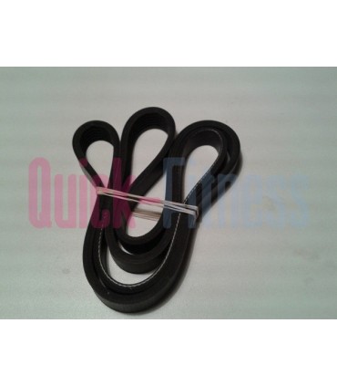 Correa bici estática Tempo Fitness 920B