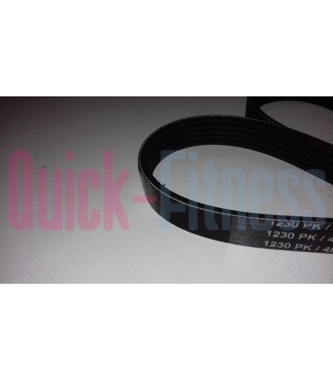 Correa compatible para elíptica BH Advance 200