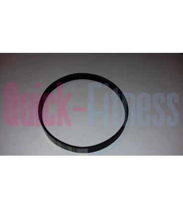 Correa motor para cinta de correr BH Fitness PRISMA M50 G6150