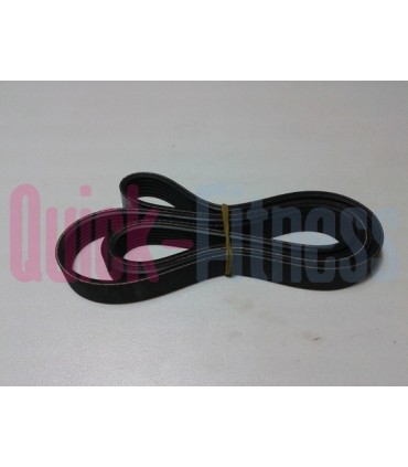 Correa para bici estática DKN EB-2101i / 2100