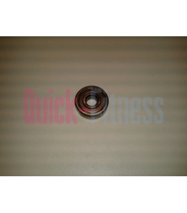 Rodamiento eje disco inercia bici spinning Bodytone Giro