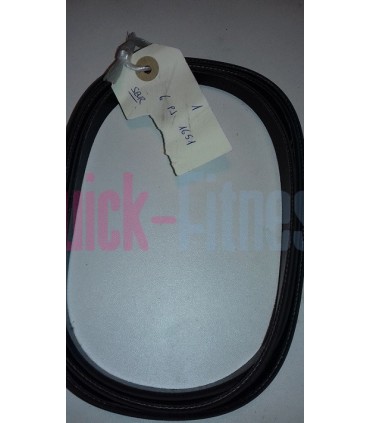 Repuesto correa elíptica Kettler VITO XS Correas elípticas Kettler