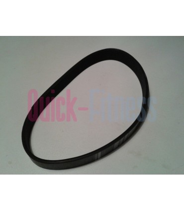 Correa 195J 8 (495 mm y 8 crestas)  Repuestos Fitness Correas de motor