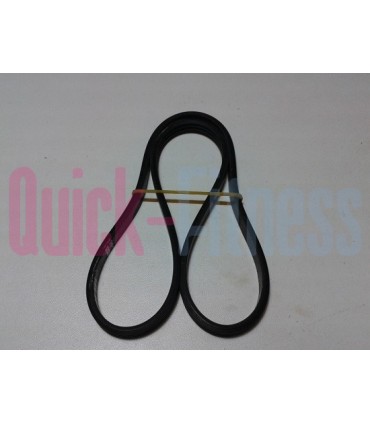 correa bici estática Ultrasport F Bike 150 / 200B  240J 610mm