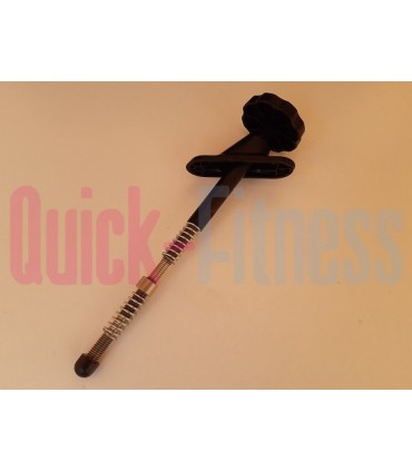 repuesto Conjunto resistencia bici RevMaster Classic Recambios spinning