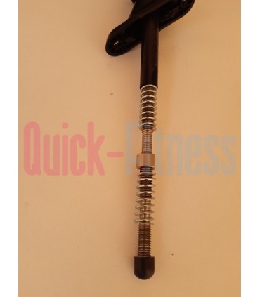 repuesto Conjunto resistencia bici RevMaster Classic Recambios spinning