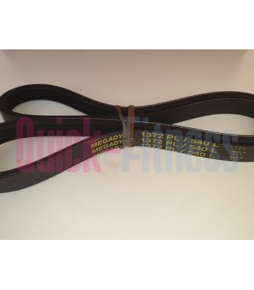 correa bici spinning FFITTECH GOLD  Recambios spinning FFITTECH