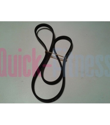 Correa 320J 4 (81,3cm y 4 crestas)