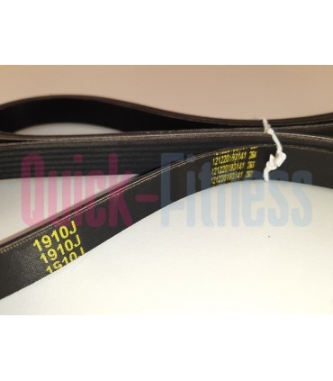 correa para elíptica BH G2387FD QUANTUM  Correas para elípticas BH