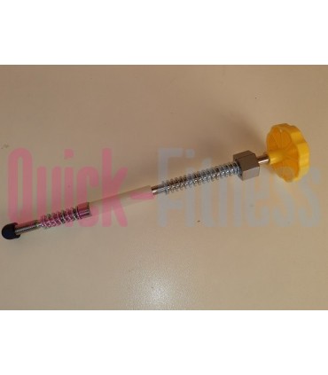 repuesto conjunto pomo resistencia bici spinning Lemond RevMaster Pro