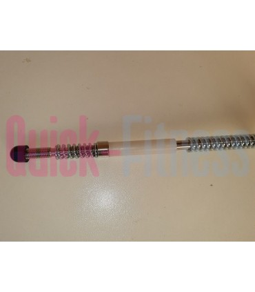 repuesto conjunto pomo resistencia bici spinning Lemond RevMaster Pro