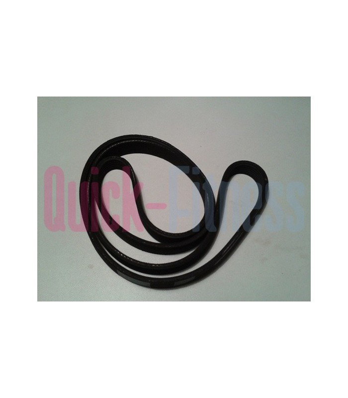 Correa para elíptica BH Iridium Avant G247 Correas elípticas BH