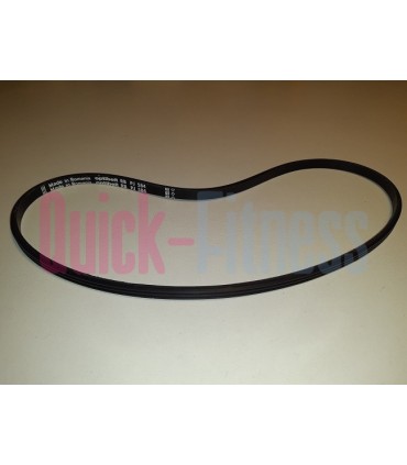 Correa bici estática Bodytone DU-X (230J 3) Correas para bici Bodytone