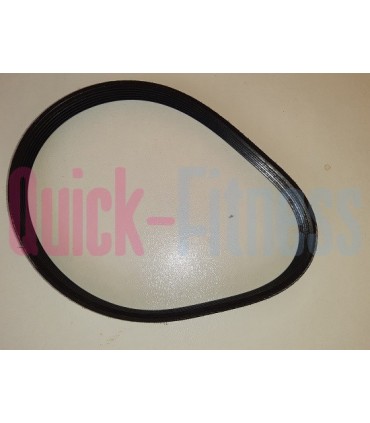 Correa bici estática Bodytone DU10  CORREAS bicis estáticas Bodytone