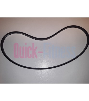 Correa para bici estática CECOTEC X Bike Pro (240J 3) Correas bicis