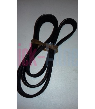 Repuesto correa bici estática Domyos VM Essential Correas bicis DOMYOS